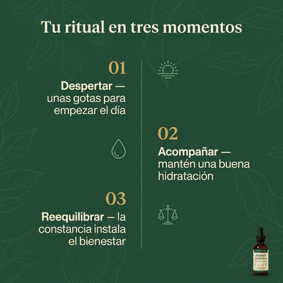 Drenaje Linfático Senera – Gotas Naturales