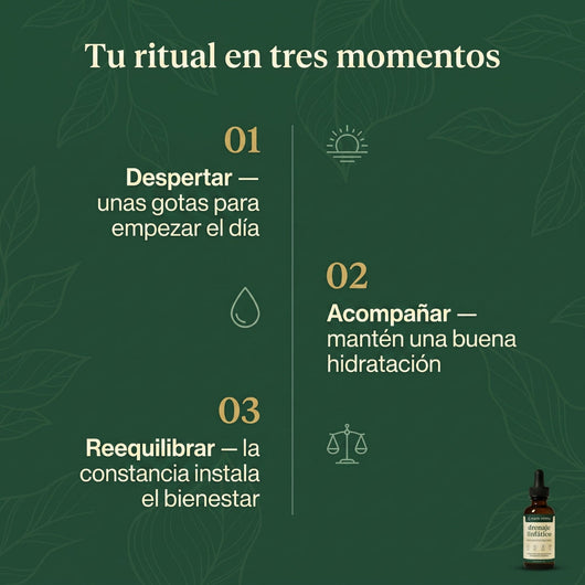 Drenaje Linfático Senera – Gotas Naturales