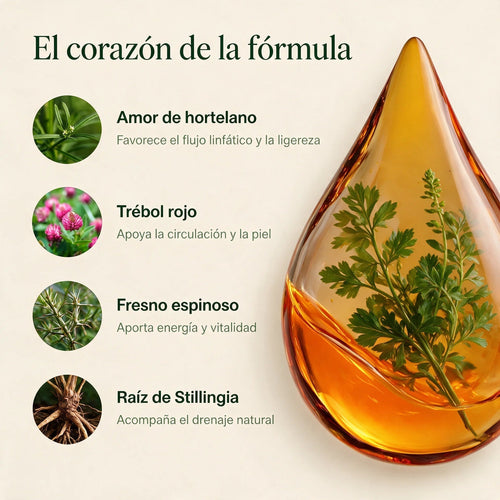 Drenaje Linfático Senera – Gotas Naturales